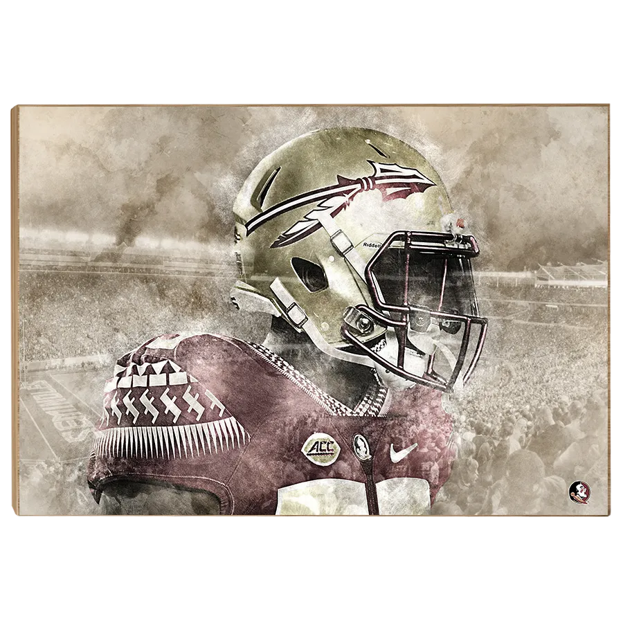 Florida State Seminoles -Vintage Nole