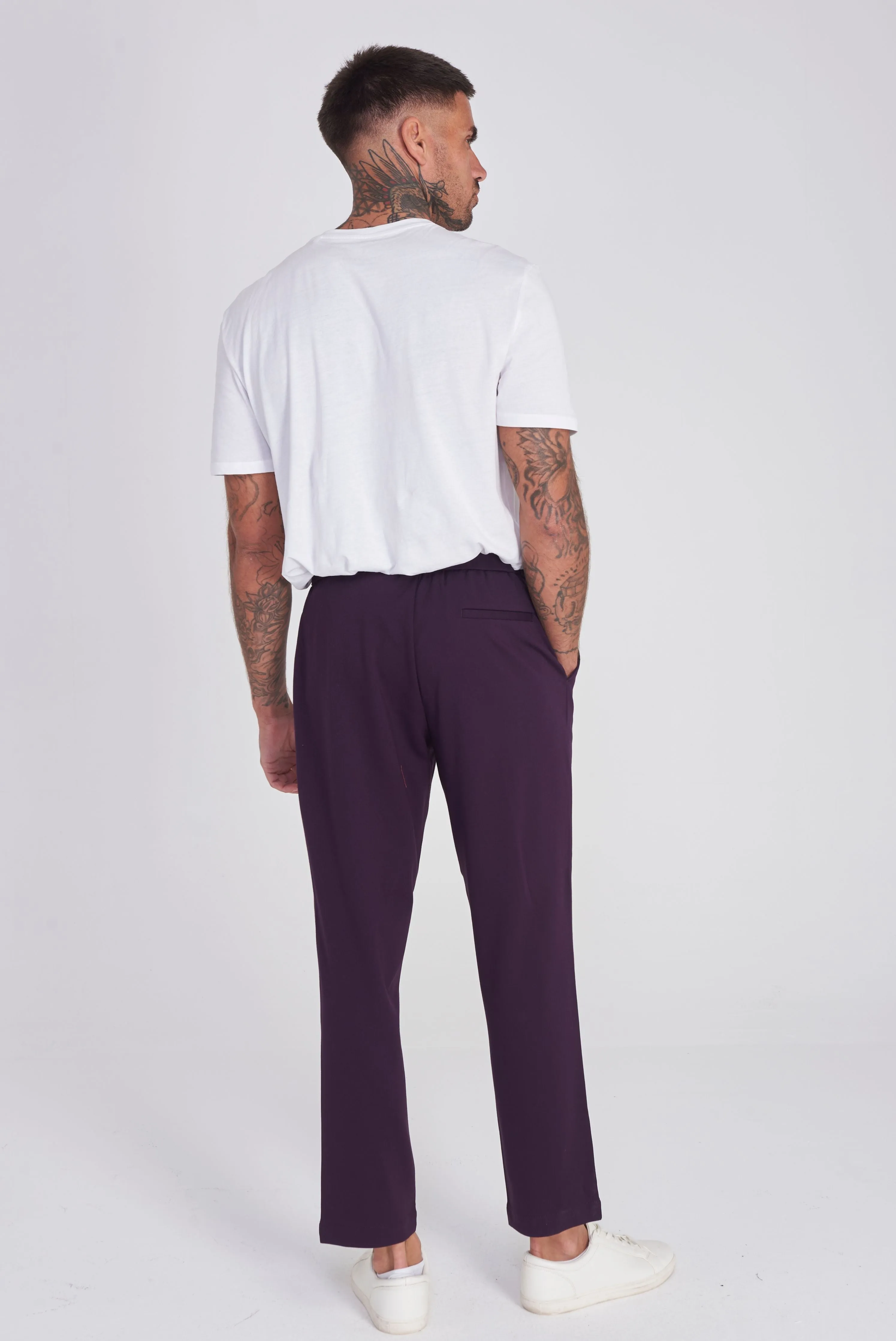 Pamplona Harry Brown Trouser in Purple