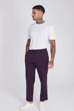 Pamplona Harry Brown Trouser in Purple