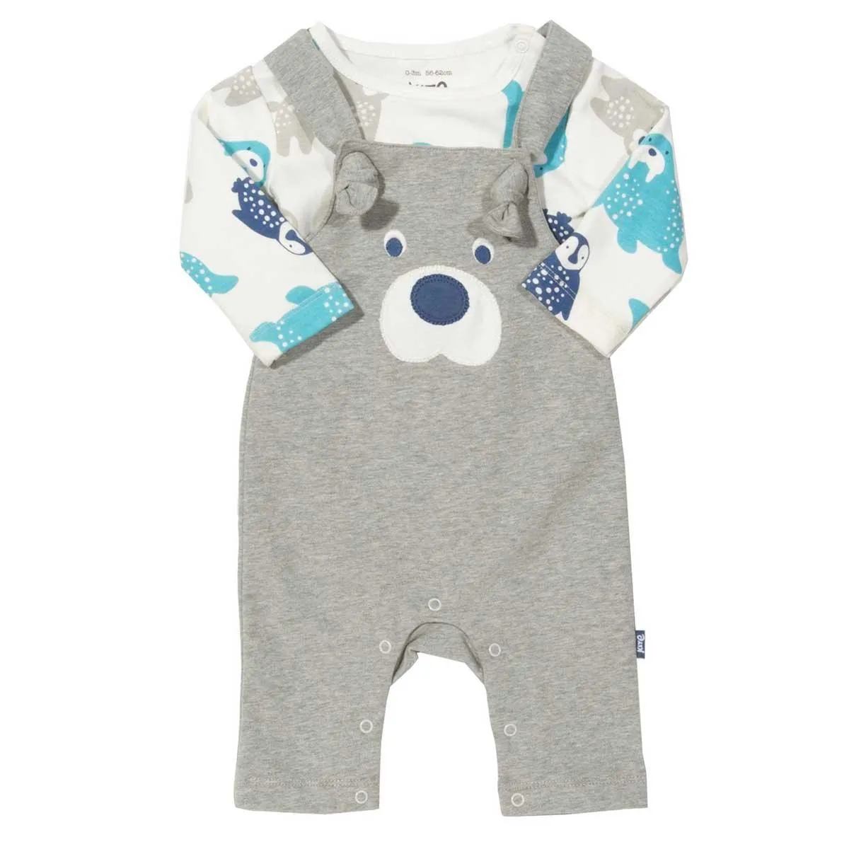 Polar Pals Dungarees Set